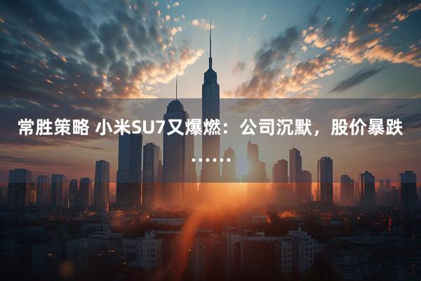 常胜策略 小米SU7又爆燃：公司沉默，股价暴跌……